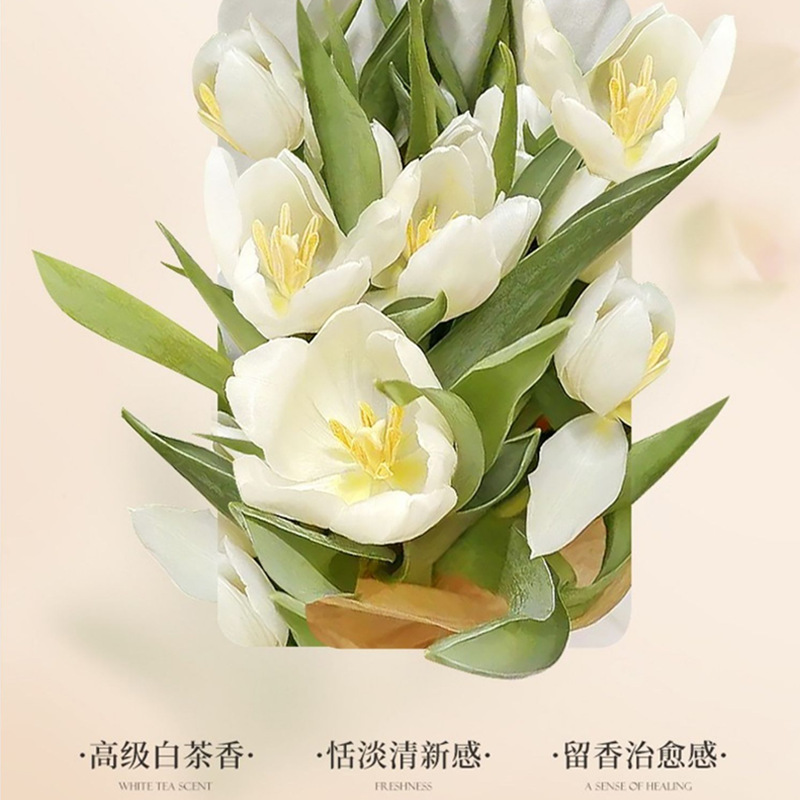 Camellia Duschgel mit Parfümdu – Perfume Fragrance Families Bewertung und Preis